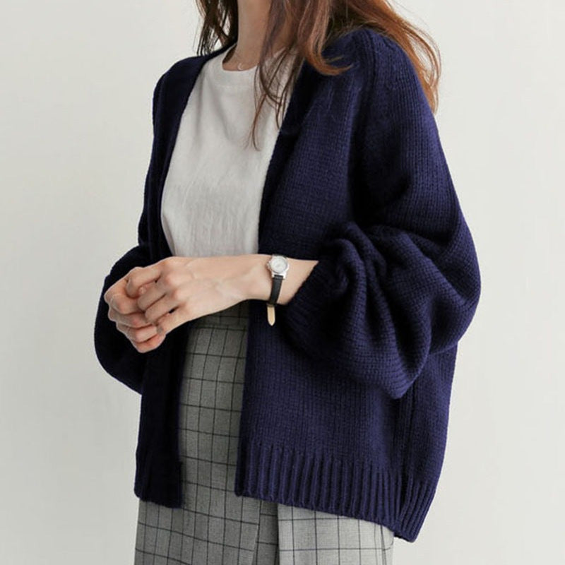 Beautiful Women's Korean Style Loose Casual Sweater
