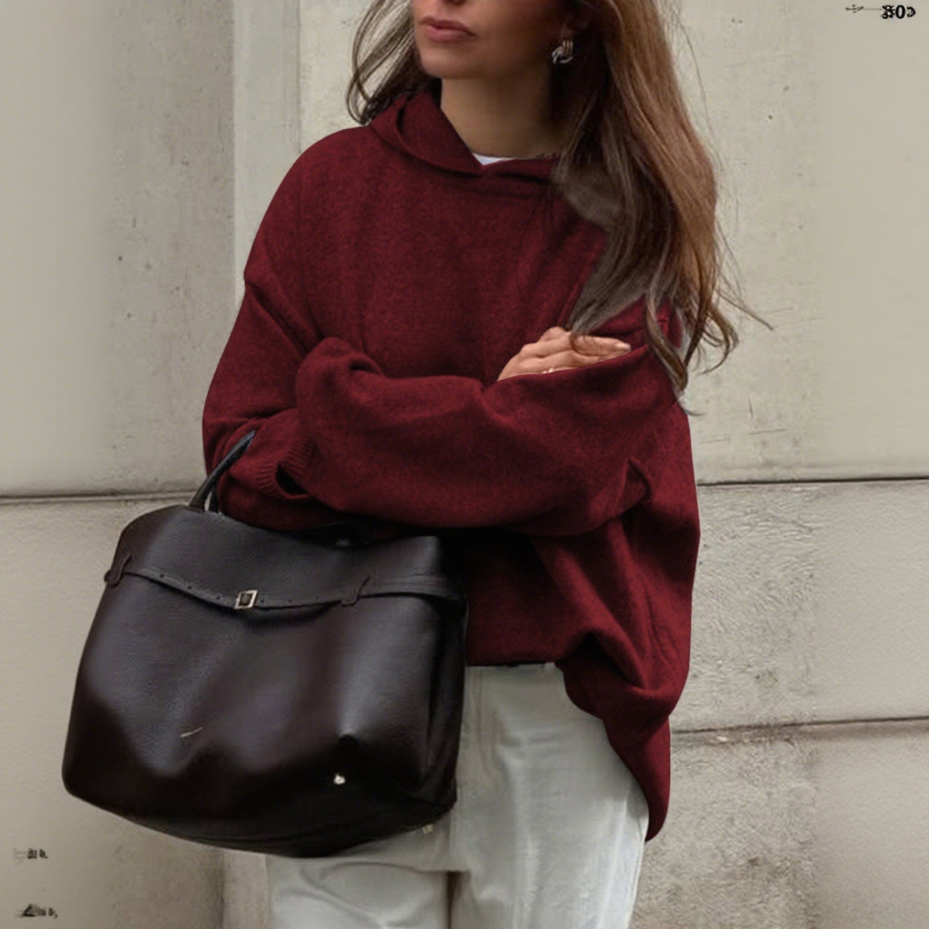 Women's Casual Minimalist Long Sleeve Hooded Woolen Clothing
