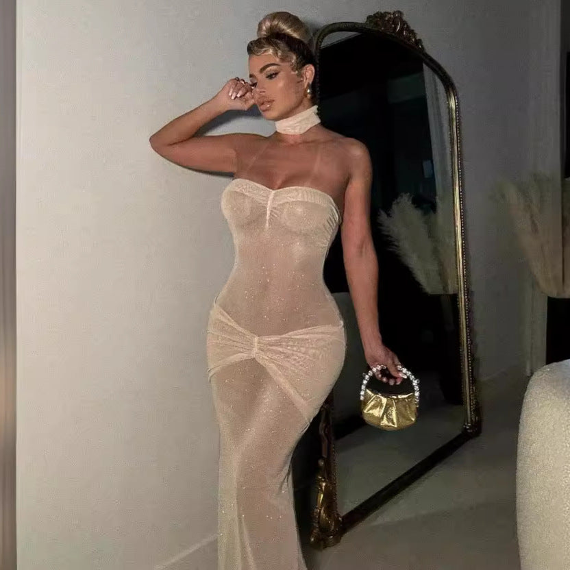 Women's Style Slightly Transparent Tube Sequins Slim Dresses