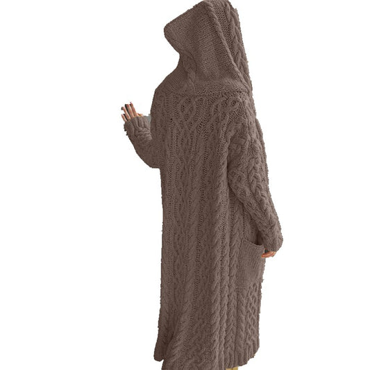 Women's Twist Braid Idle Style Hooded Long Sweaters