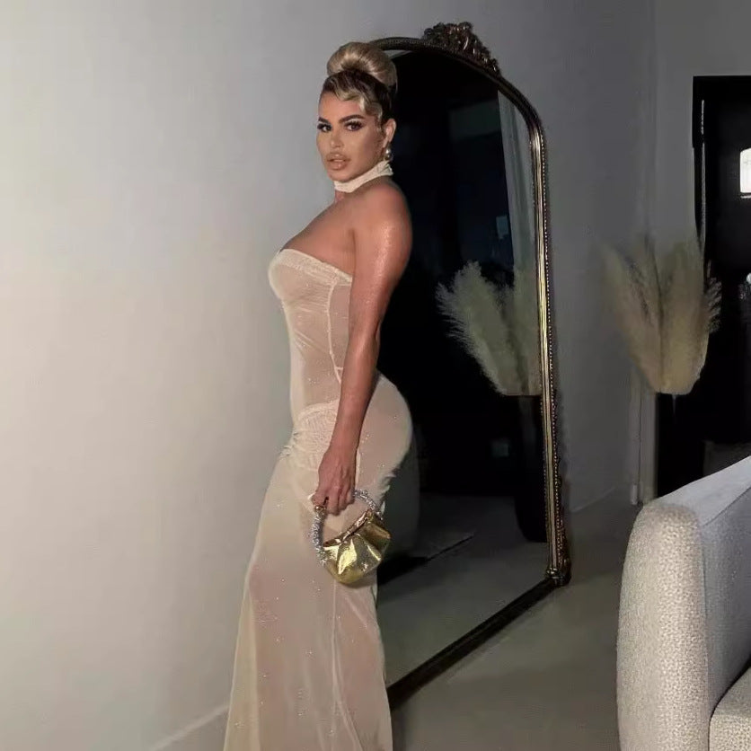 Women's Style Slightly Transparent Tube Sequins Slim Dresses
