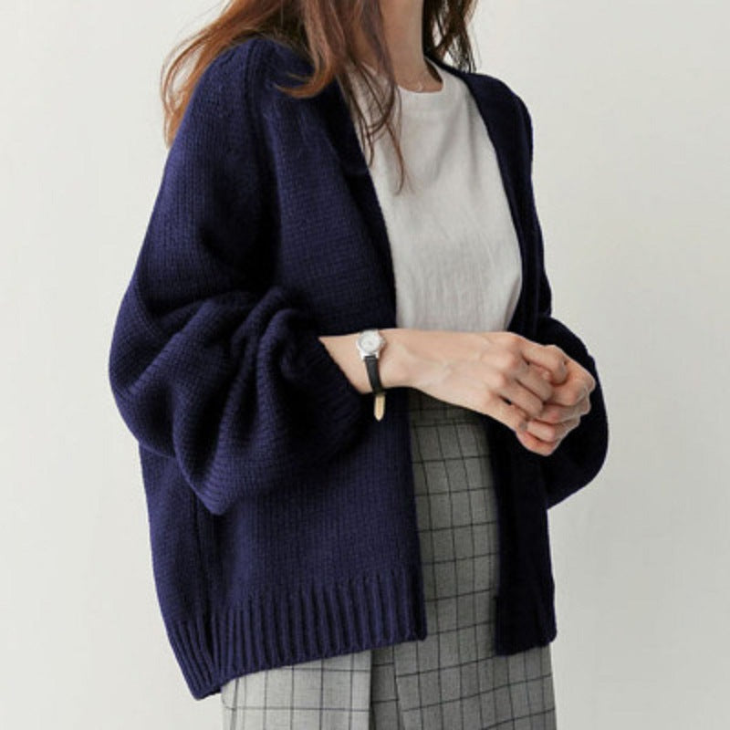 Beautiful Women's Korean Style Loose Casual Sweater