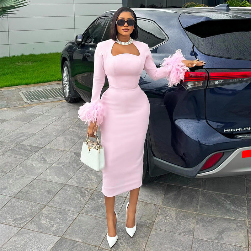 Women's Long Sleeve Feather Decoration High Waist Dresses