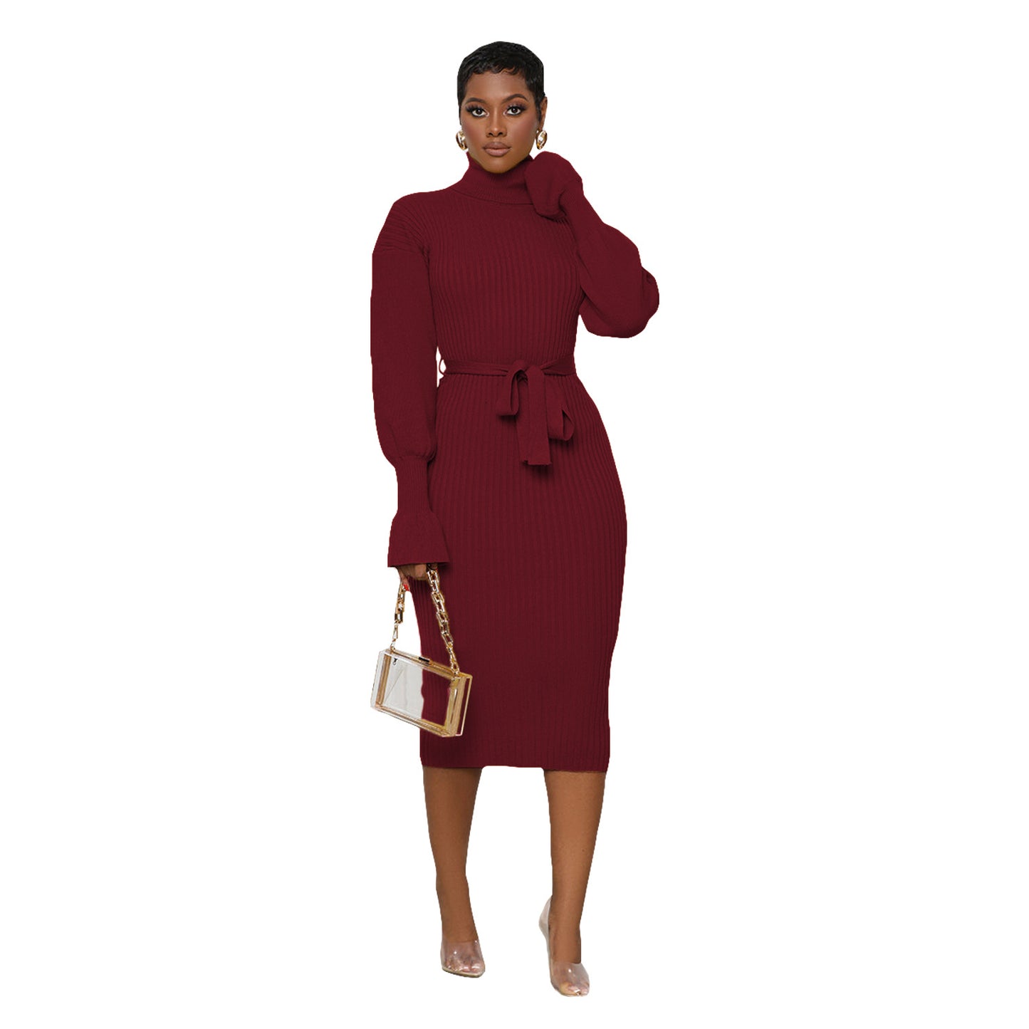 Women's Solid Color Turtleneck Knitting Tied Dress Dresses