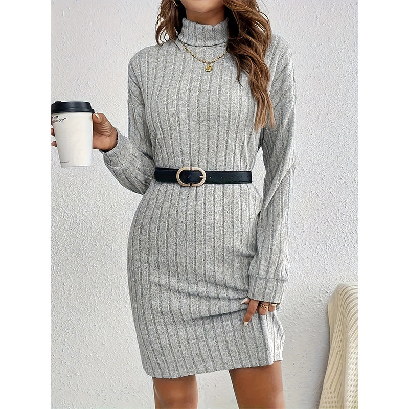 Women's Fashion Solid Color Turtleneck Long Sleeve Dress