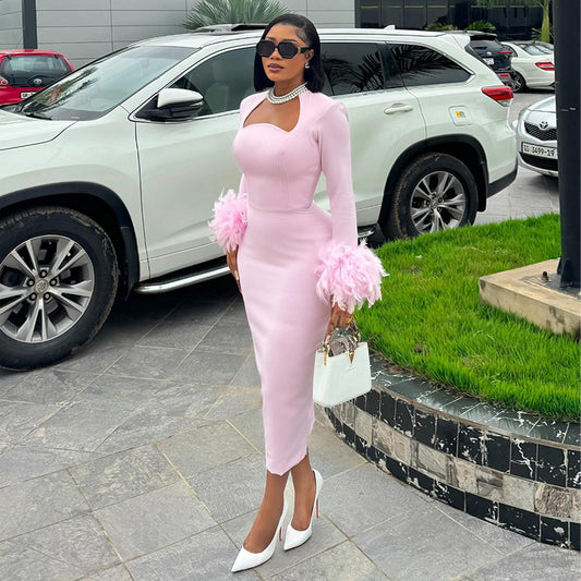 Women's Long Sleeve Feather Decoration High Waist Dresses