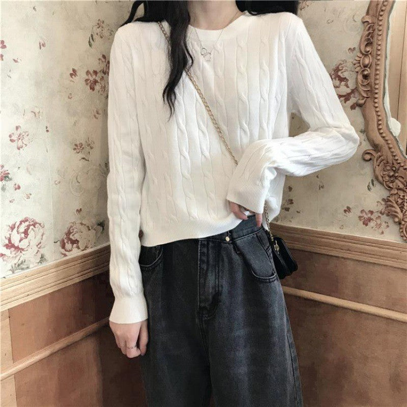 Women's Fresh Sweet Crew Neck Casual Comfortable Women's Sweater