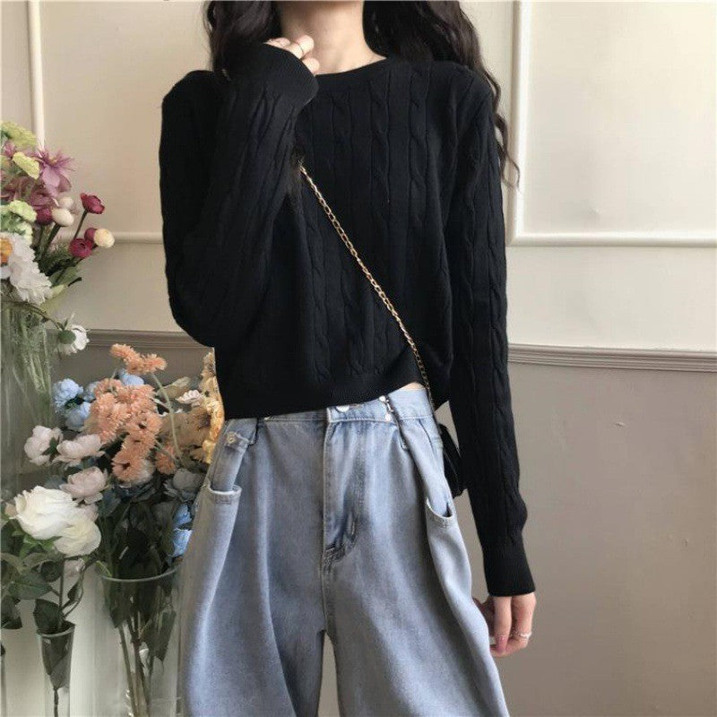 Women's Fresh Sweet Crew Neck Casual Comfortable Women's Sweater