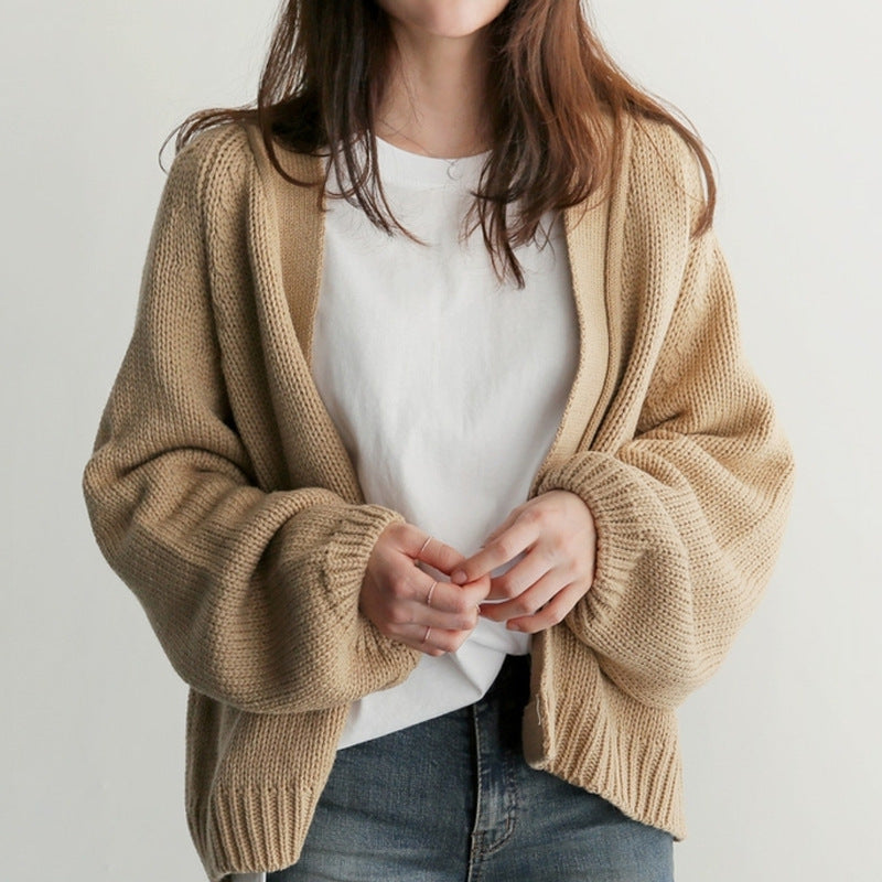 Beautiful Women's Korean Style Loose Casual Sweater