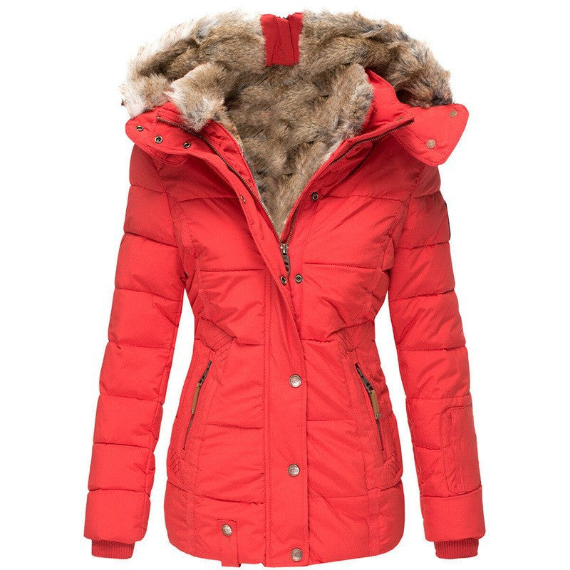 Women's Warm Fur Collar Cotton Clothes Zipper Coats