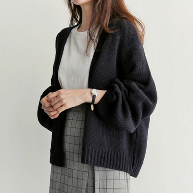 Beautiful Women's Korean Style Loose Casual Sweater
