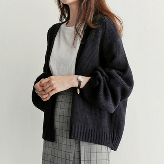 Beautiful Women's Korean Style Loose Casual Sweater