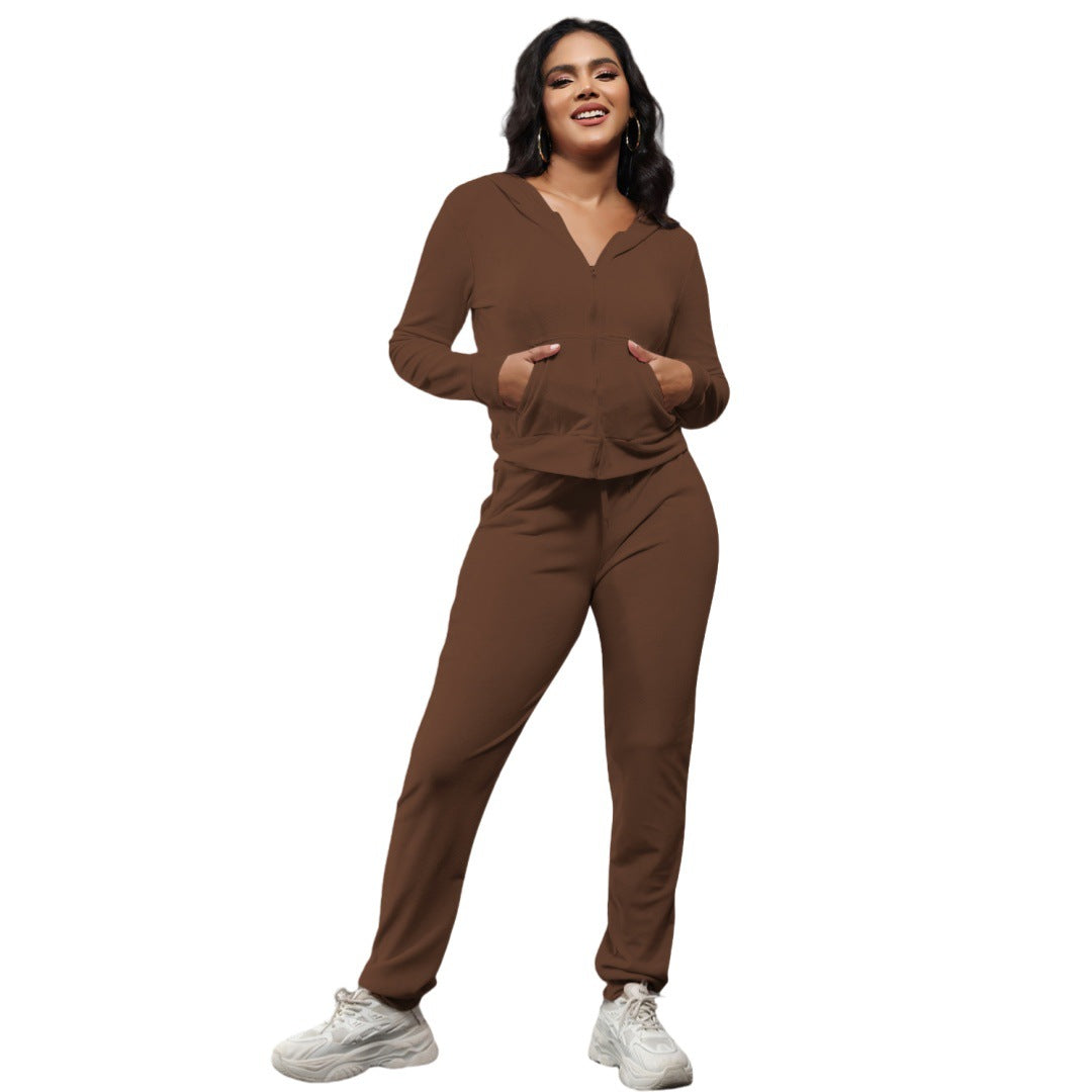 Women's Fashion Casual Sable Fur Hoodie Two-piece Suits