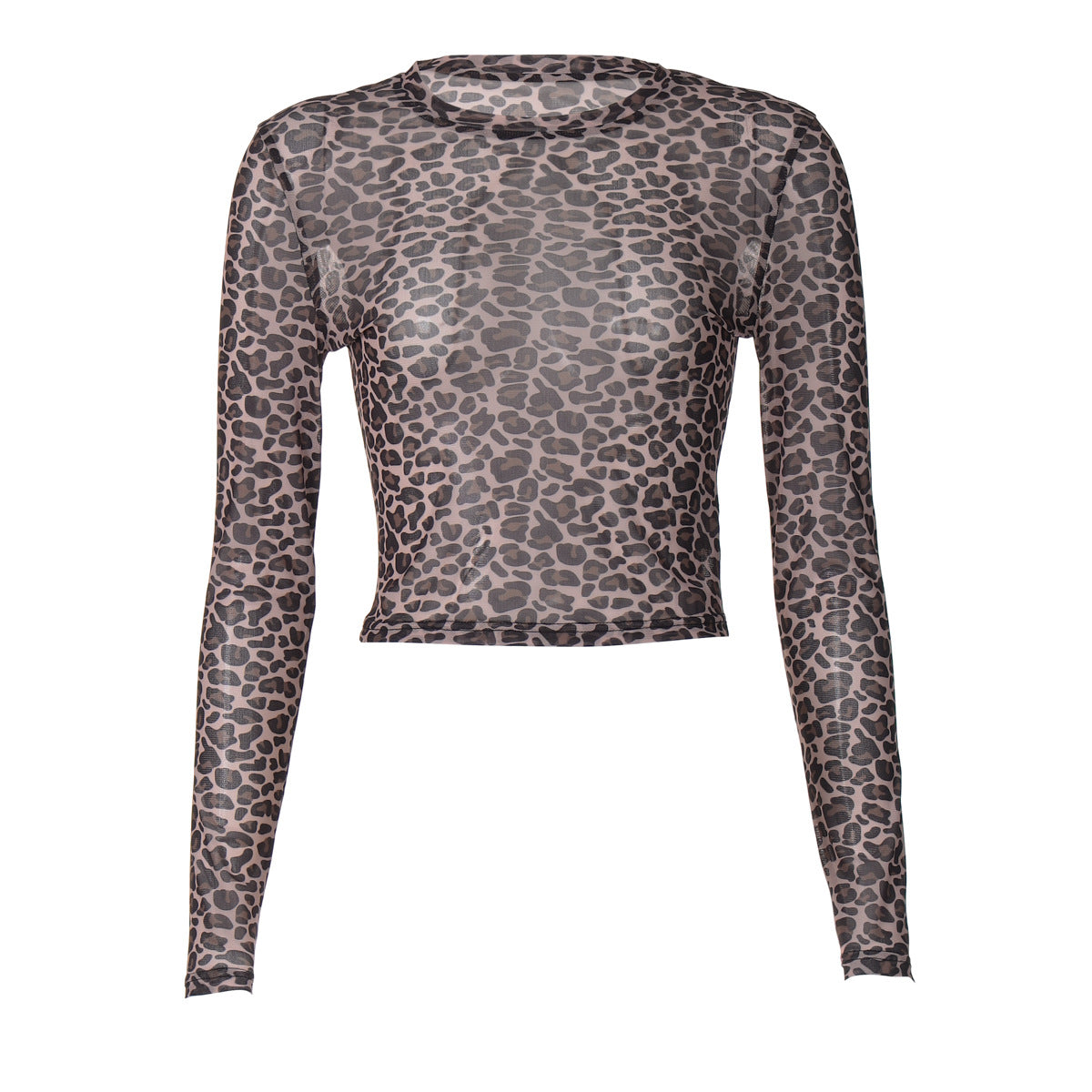 Women's Round Neck Long Sleeve Leopard Print Blouses