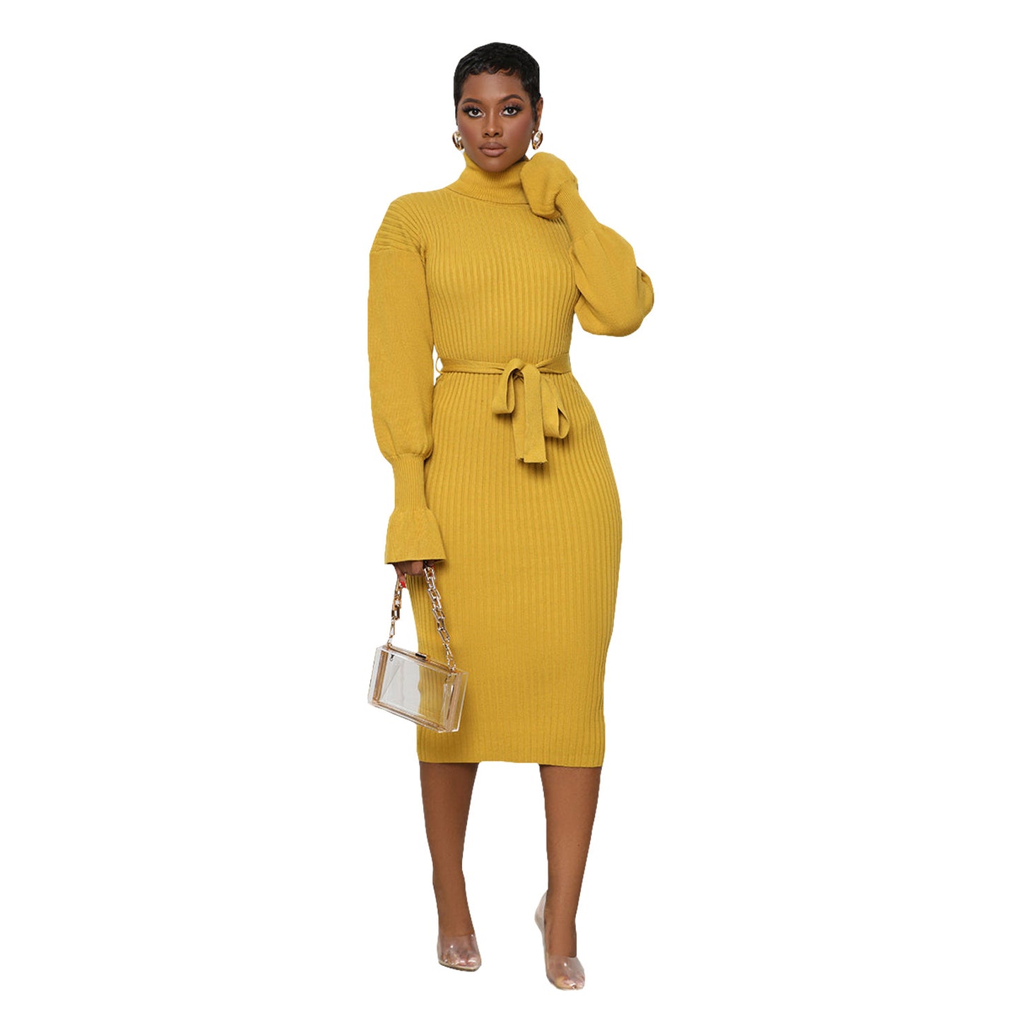 Women's Solid Color Turtleneck Knitting Tied Dress Dresses