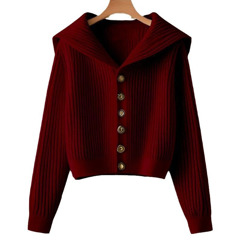 Women's Fashion Retro Sailor Collar Idle Style Design Autumn Small Sweaters