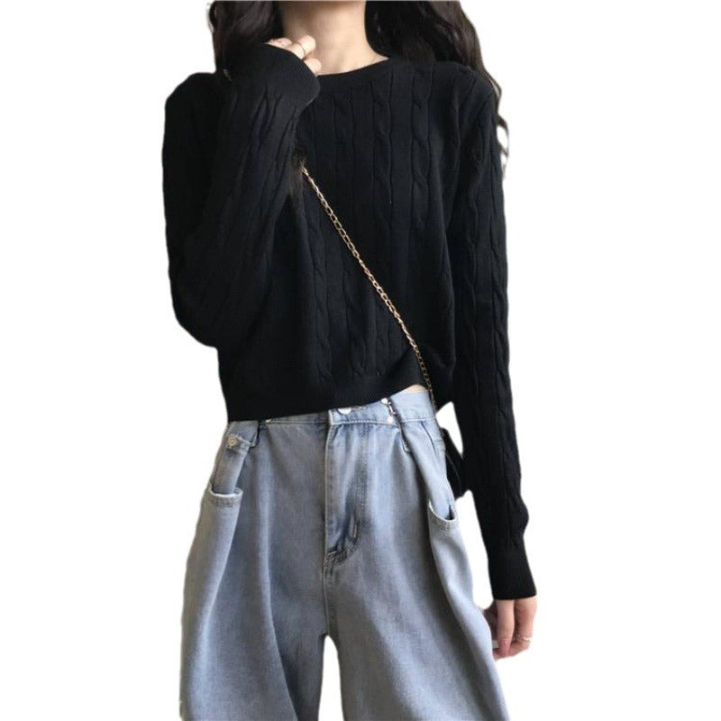 Women's Fresh Sweet Crew Neck Casual Comfortable Women's Sweater