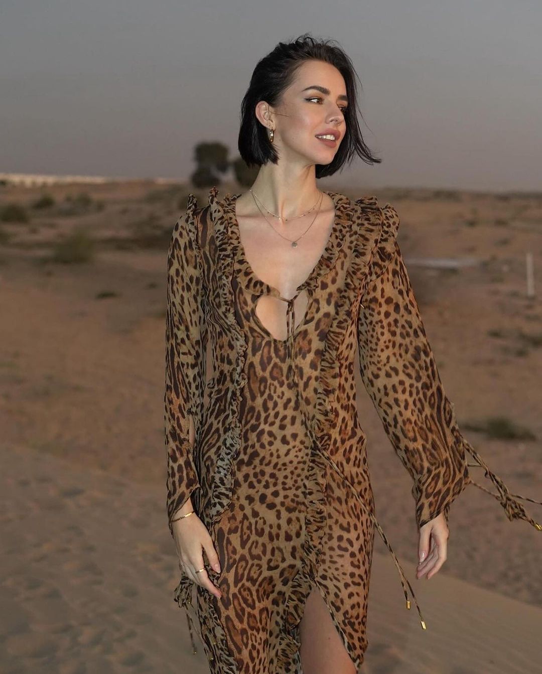 Chiffon Sexy Leopard Print Dress Ruffled Skirts